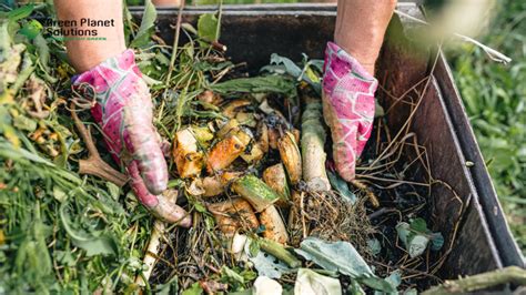 Image result for Food Waste Composting