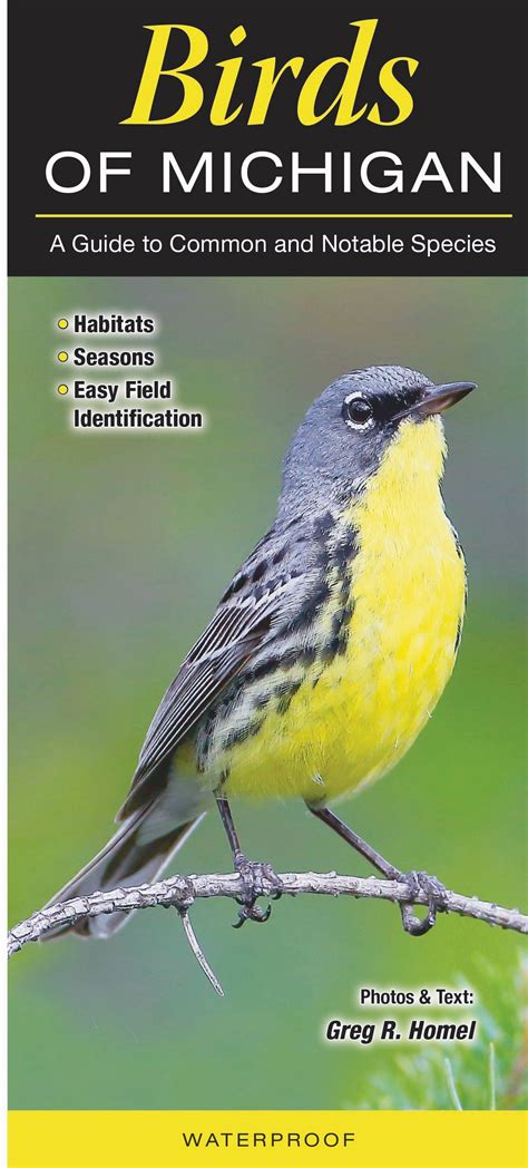 Birds of Michigan – Quick Reference Publishing Wholesale