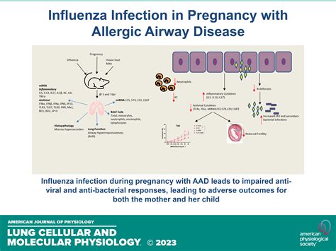 Inflammatory and antiviral responses to influenza A virus infection are dysregulated in pregnant ...