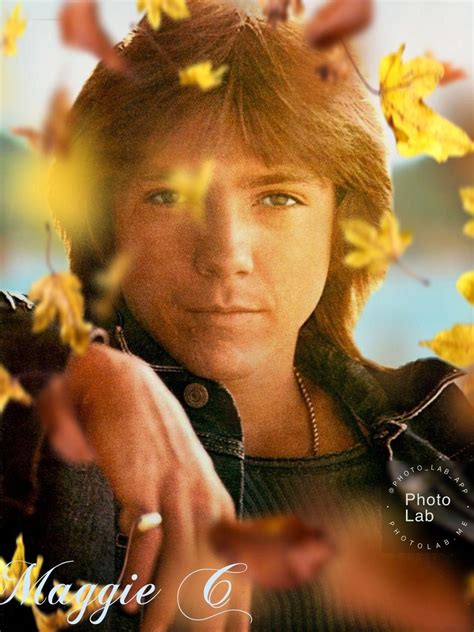 Pin by Maggie on David Cassidy | Movie posters, Poster, Movies