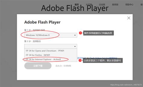 已经安装最新的flash为何还是提示版本过低_360新知