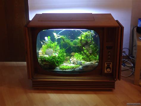Bildergebnis für fire tv aquarium