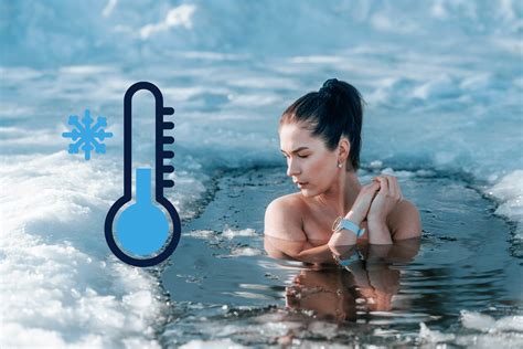 The Best Plate Carrier: Top Picks for Comfort and Durability in 2025