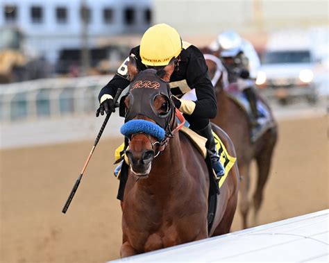 Al Gold (Gold Square LLC), Dr. Michael Lee and George Messina – Cyclone ...