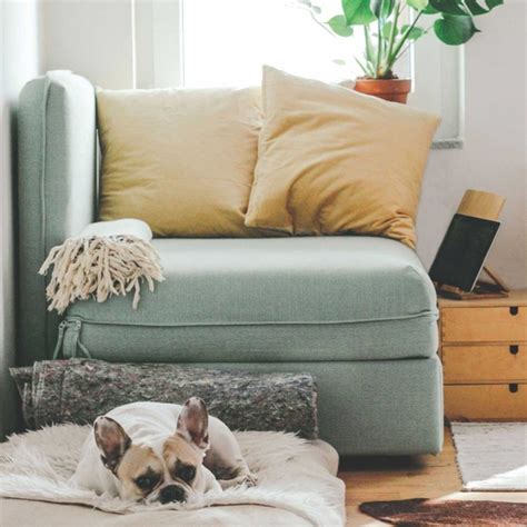 Installing Windows Infinity 的图像结果