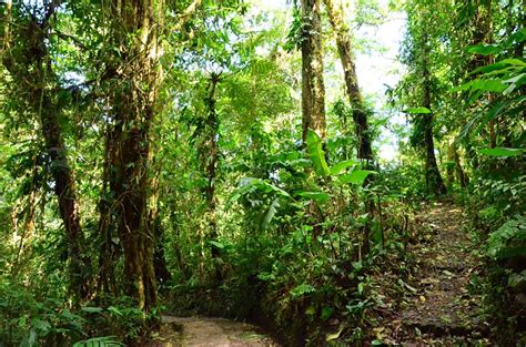 Diario de viaje a Costa Rica y Panamá