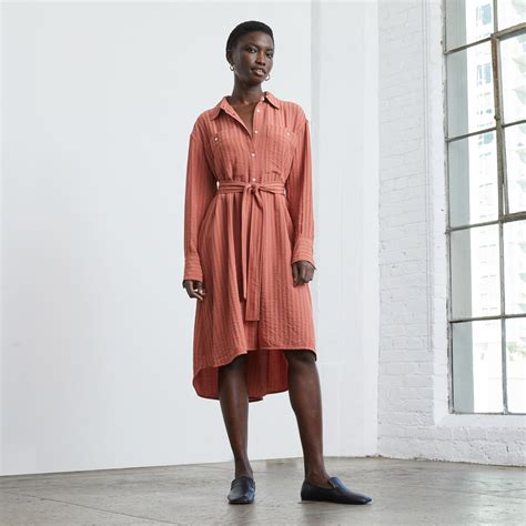 The City Stripe Draped Shirt Dress Redwood – Everlane