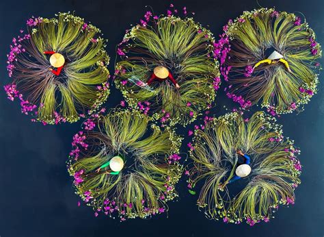 Best 12 Breathtaking Photos of Farmers Harvesting Lilies From the ...