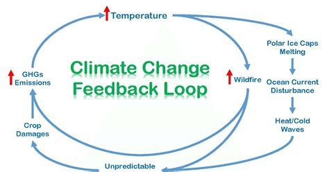 Image result for Negative Feedback Loop Global Warming