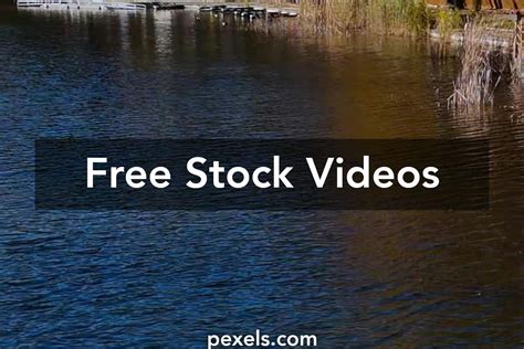 Image result for Environmental Clips