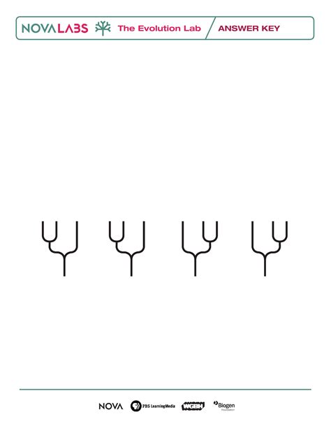 NOVA Evolution Lab Worksheets Answers - EVOLUTION 101 1. c 2. c 3. c 4 ...