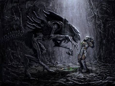 Alien Queen vs Predator | Dravens Tales from the Crypt