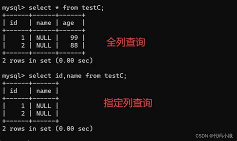 Syntax Begin MySQL 的图像结果