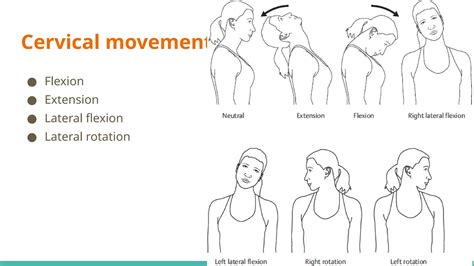 Examination of the Spine, lumps, bumps and ulcer 2.pptx