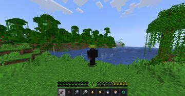 Image result for Java PvP Texture Packs