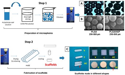 Microsphere-Based Hierarchically Juxtapositioned Biphasic Scaffolds ...