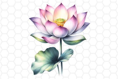 Free clip art lotus flower, Download Free clip art lotus flower png ...