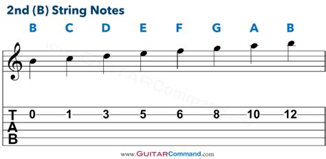 Image result for B String Notes