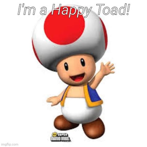 Image result for Toad Master Meme