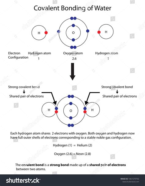 Diagram Illustrate Covalent Bonding Water Fully: Vector có sẵn (miễn ...