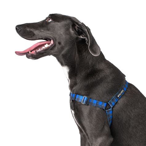 Luey Dog Front Clip Harness - Dog-Collars, Leads & Harnesses-Harnesses ...