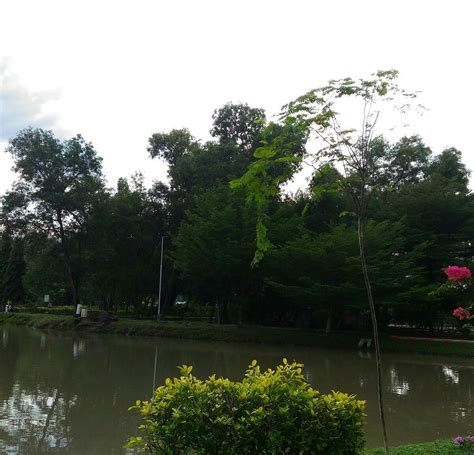 SULTAN ABDUL AZIZ RECREATION PARK - All You Need to Know BEFORE You Go ...