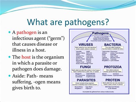 Image result for Pathogen of Humans