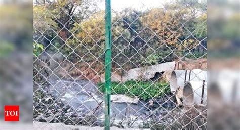 Haryana, Punjab villages continue to release sewage into forest near ...
