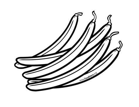 Green Bean illustration #illustration #greenbeans | Green beans ...