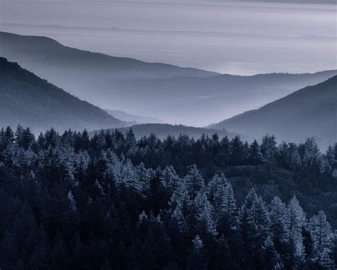 Download wallpaper 1280x1024 forest, trees, mountains, hills, nature ...