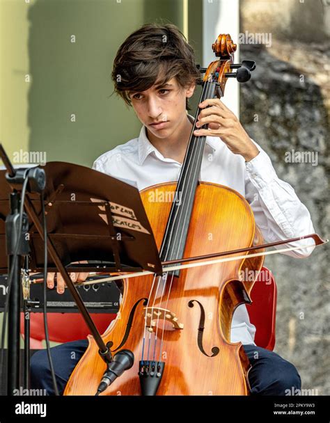 Image result for Classical String Trio