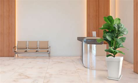 Office Plant Decor Ideas | Boost Focus and Calm with Green Elements