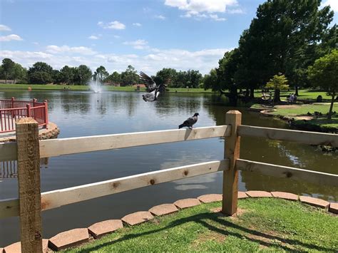 Hurst Tourism (2024): All You Need to Know Before You Go