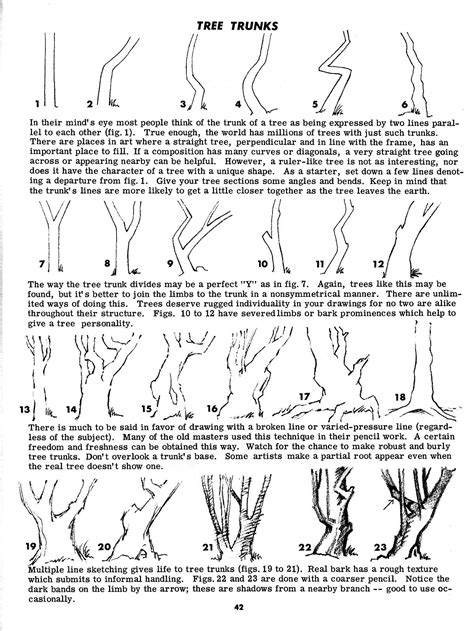 Image result for How to Draw Tree Trunks