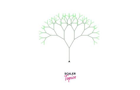 Image result for Python Turtle Tree Code