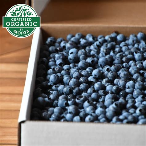 Organic Hand-Raked Wild Blueberries (Frozen) - 5 LB. Box - Buy Online ...