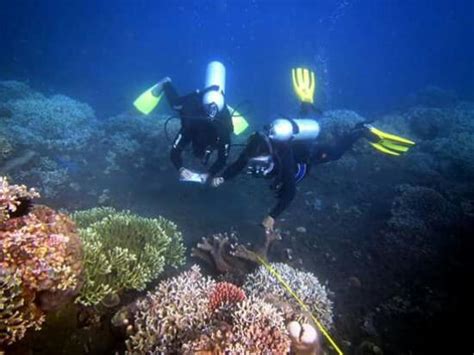 Bali Indah Dive & Water Sports (Tanjung Benoa) - What to Know BEFORE You Go