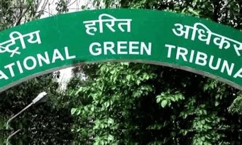 Mustafa Plumber, Live Law Page 182