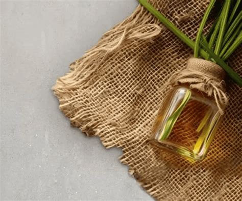 Vetiver oil – Simply Kids