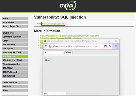 Image result for Dvwa SQL User