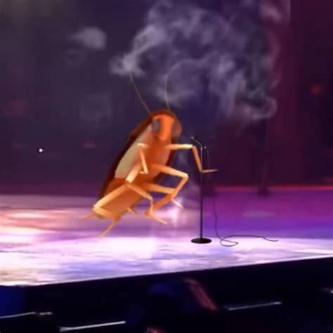 Image result for Dancing Cockroach Concert