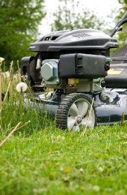 Image result for Advanced Small Engine Repair