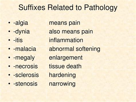 PPT - Medical Terminology PowerPoint Presentation, free download - ID ...