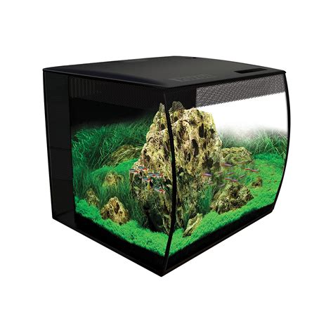 15 Gallon Fish Tanks