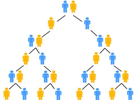 Image result for Exponential Function Applications