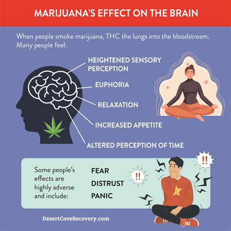 Does Smoking Marijuana Kill Brain Cells? A Scottsdale Rehab