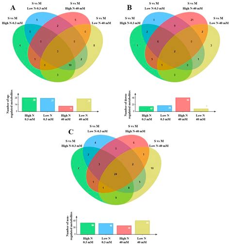 Combined Effect of Salt Stress and Nitrogen Level on the Primary ...
