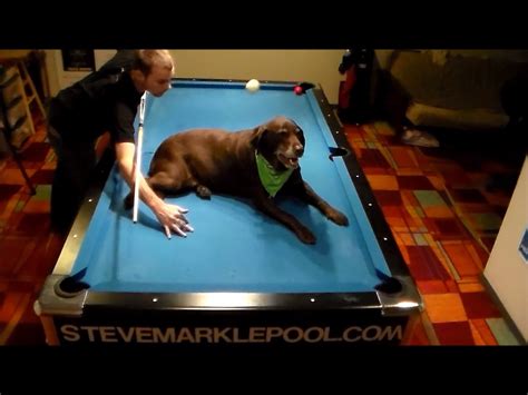 Image result for Pool Trick Shots Compilation