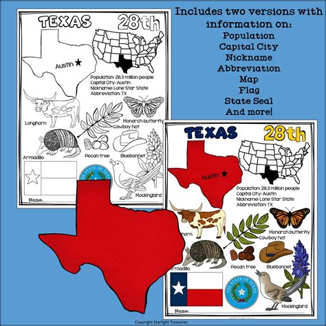 Texas Fact Sheet for Early Readers - A State Study | Made By Teachers