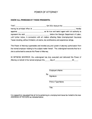 Georgia Power of Attorney - Blank Fillable Template | Fill Out, Print ...